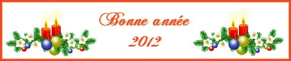Bonne ann�e 2012